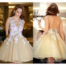 Homecoming Champagne Floral New Lace 2019 Jurken Applique A Line Backless Sheer Neck Custom Made Gradutaion Party Prom Gown