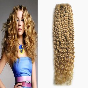 Tissage de cheveux brésiliens blond miel 1 faisceaux Non-Remy 100g de cheveux vierges crépus bouclés brésiliens non transformés tisse double trame