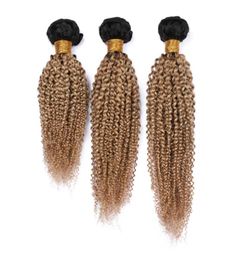 Honing Blond Ombre Kinky Krullend Indian Human Hair Weave Bundels 3 Stuks 300 Gram 1B27 Donkere Wortel Lichtbruin Ombre Haarinslagen Kinky Cu3281172