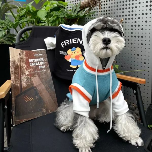 Sudaderas con capucha Oso de dibujos animados Sudadera con capucha verde y negra Ropa para perros Collar acanalado Ropa para perros pequeños Moda para gatos Primavera Otoño Schnauzer Artículos lindos para mascotas