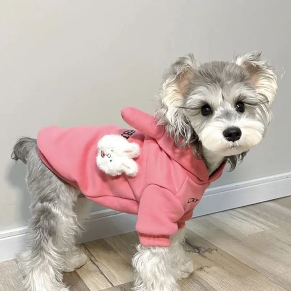 Sudaderas con capucha Conejo Sudadera con capucha Ropa para perros Mascotas Terciopelo de dibujos animados para perros Ropa Gato Pequeño Lindo Otoño Invierno Cálido Moda Niño Niña Chihuahua Mascota