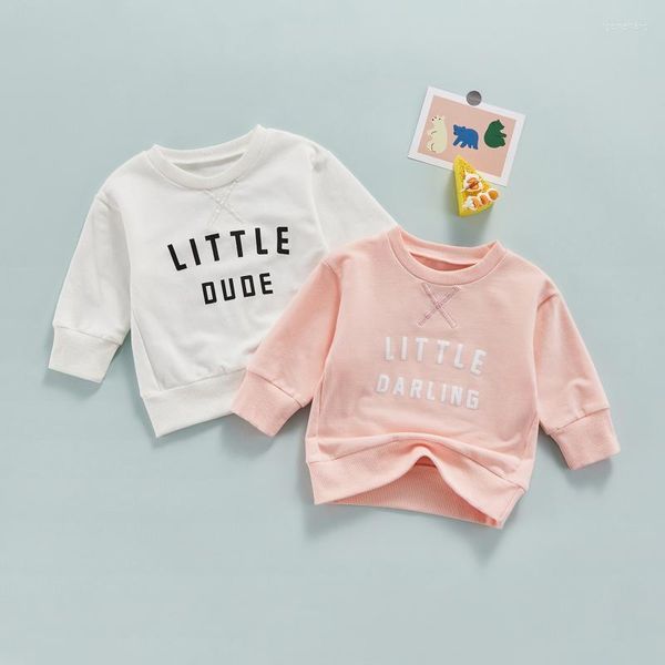 Sudaderas con capucha para niños pequeños, bebés, niñas, hermanos, hermanas, jersey de manga larga, sudadera con estampado de letras frontales, Tops sueltos con cuello redondo de 0 a 5 años