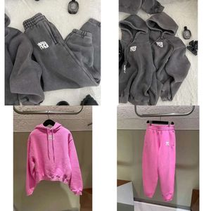 Hoodies dames 2023 herfst en winter noodlijdende casual hoodie fleece sweatshirt joggingbroek set