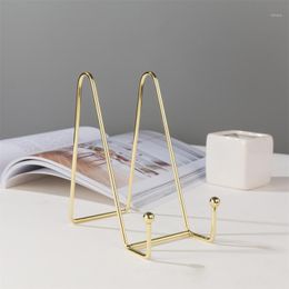 Hooks Rails 1PCS houder po frame stand opslagrek duurzaam boek display Noordse roségouden plank plaat minimalistische stijl