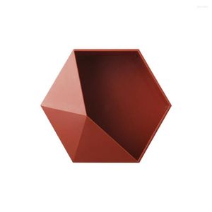 Ganchos Caja de almacenamiento Hexagonal Soporte de pared Soporte geométrico Soporte colgante sin perforaciones Sala de estar Baño Maceta Estante