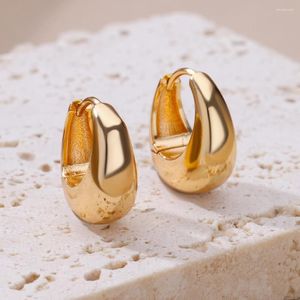 Boucles d'oreilles créoles en acier inoxydable 316L, couleur or pour femmes, cercle ovale, oreille élégante, bijoux de noël, cadeau goutte