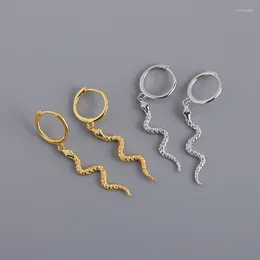 Boucles d'oreilles créoles plaquées argent 925 en forme de serpent pour femmes et filles, bijoux de fête de mariage Eh1084
