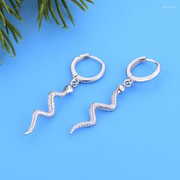 Oorringen 925 Zilveren Ronde Cirkel Goud Kleur Punk Stijl Kwastje Dier Slang Hanger Oorbel Oor Clip Brinco Bohemen Pendientes