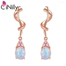 Boucles d'oreilles cerceaux Cinoty créé le feu rose blanc ophonée oreille à oreille zircon 14K Rose Goon féminin plaqué féminin pour femmes filles