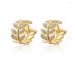 Hoop oorbellen Classic Natural Leaf Shiny Crystal Stud Goldenwhite Small Huggies Charming Earring sieraden voor dames1003588