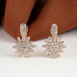 Boucles d'oreilles créoles exquises en plaqué or 18 carats, flocon de neige pour femmes, tendance, petite pierre de Zircon, pendantes, bijoux de Banquet