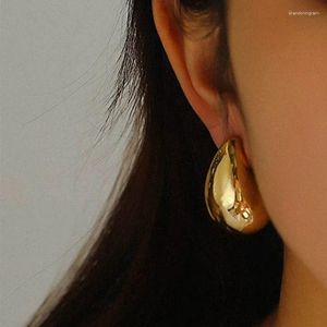 Hoepel oorbellen mode gouden zilveren kleur geen afkomst waterdicht waterdruppel voor vrouwelijke roestvrijstalen PVD 18K vergulde sieraden