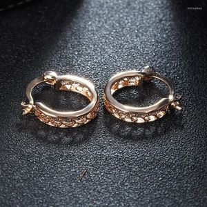 Hoop oorbellen mode sieraden voor vrouwen goudkleur hol ontwerp Oostenrijkse kristal zirkonia ronde