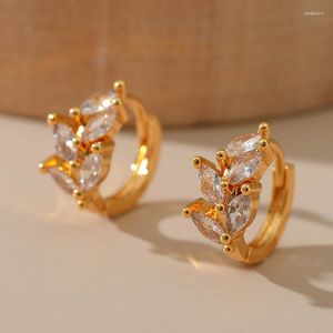 Pendientes de aro diseño de hoja de moda exquisito Mini circón brillante oreja de trigo pequeños anillos circulares para mujer señora fiesta joyería regalo