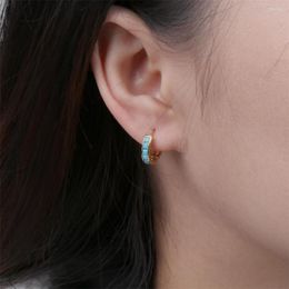 Boucles d'oreilles de cerceau mode mini zircon cartilage de haute qualité cuivre en or petit perçage d'oreille ronde pour femmes bijoux