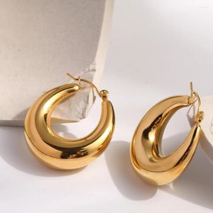 Boucles d'oreilles cerceaux Géométrie minimaliste Métal en forme de chute d'eau pour femmes Titane de luxe en acier authentique Golden Women's Boucle