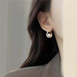 Boucles d'oreilles REETI haute qualité Super brillant Zircon 925 en argent Sterling boucle d'oreille pour les femmes bijoux en gros cadeau