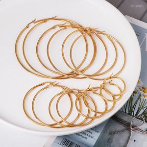 Hoop Boucles D'oreilles Ventes Accessoires Exagérés En Gros De Mode Simple Grand Cercle Punk Discothèque Européenne Boucle D'oreille Bijoux Pour Femmes