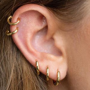 Boucles d'oreilles cerceaux en acier inoxydable simple pour les femmes Tragus Piercing Septum Smooth Couleur Couleur cartilage Cerceaux Accessoires d'oreille Bijoux