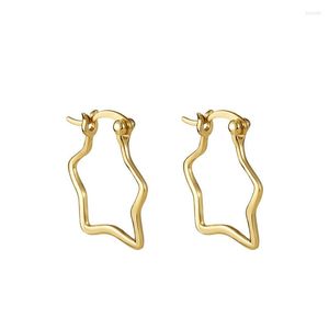 Hoop oorbellenster Y2K Sterling Silver Earring 925 voor vrouwelijke sieraden en accessoires Ear Rose Gold Top Kwaliteit Bungelende dingen