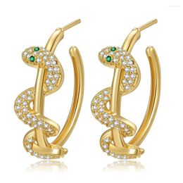 Boucles d'oreilles Hoop Trend Copper Zircon Snake Hip Hop Party Exagéré Créatif Bijoux de la mode