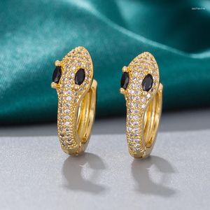 Boucles d'oreilles cerceau unisexe femme mâle Animal serpent pour femmes hommes Antique couleur or noir blanc Zircon Huggie boucle d'oreille bijoux de fête