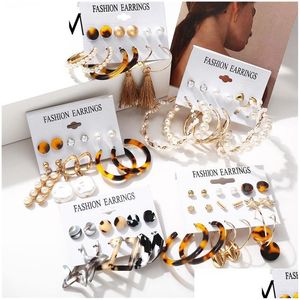 Hoop Huggie Fashion Acryl Pearl -oorbellen ingesteld voor vrouwen Boheemse luipaard Tassel Long Stud Earring Rincos Geometrische DIY -sieraden Drop DHS64