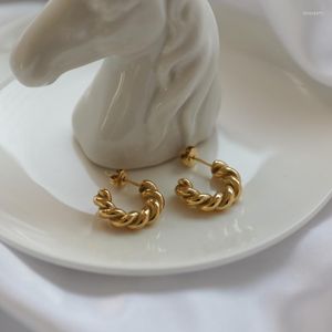 Hoop Huggie Joolim Hoogwaardige PVD Gold Finish Classic Rope Earring Dainty Wholesale Trendy JewelryHoop Dale22