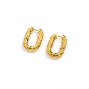 Hoop Huggie Punk irrégulière en acier inoxydable ovale boucles d'oreilles or cadeau pour les femmes 2021 tendances accessoires bijoux Argollas Pendientes