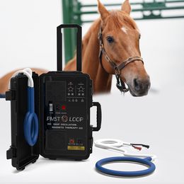 Soins de santé des chevaux Vet Traitements physiques Machine Loop PEMF Améliorer le soulagement de la douleur à lamelle des chevaux et le dispositif de thérapie magnétique PEMF PEMF