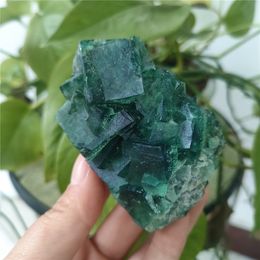 Hot 100% Naturel Stone Green Fluorite Mineral Crystal Spécimen Cluster Crystals Crystals Stones Énergie de santé Décoration de pierre de guérison