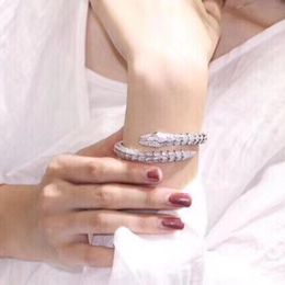 Hot Merken Luxe Trend Glanzende Armband Elastische Ontwerp Gratis Verzending Bruiloft Accessoires Beroemdheden Koper Materiaal Dames Armband SN