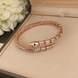 Hot Designer Snake Bracelet Luxurys Brand Bangle Fashion Titanium Crystal Cuff Bracelet Sieraden Gift