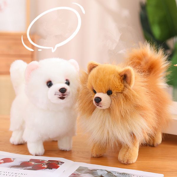 Hot Premium Cute Plush Pomeranian Dog Real Life Toystuffed Animals Soft Puppy Pet Doll Niños Niños Niñas Regalo encantador