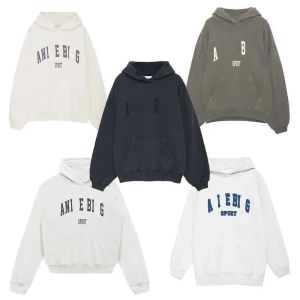 2023 Vente chaude 23SS Femmes Desginer Mode Coton À Capuchon Nouveau AB Anines Bing Classique Lettre Imprimer Lavage Couleur De L'eau Flocon De Neige Sweat À Capuche