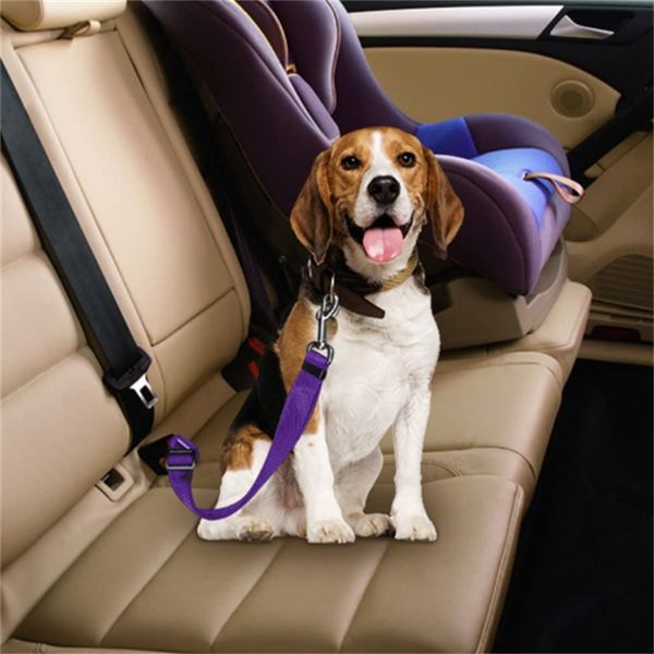 Venta caliente 6 colores Cat Dog Car Safety Seat Belt Arnés Ajustable Pet Puppy Pup Hound Vehículo Cinturón de seguridad Correa de plomo para perros 500pcs JL7286