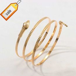 Vente chaude Bracelet Serpent Spirale Bras Manchette Brassard Brassard Bracelet Bijoux Pour Femmes