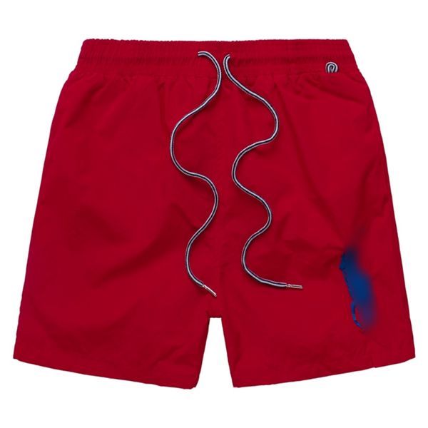 Venta caliente Pantalones cortos para hombre Diseñador Pantalones cortos de verano para nadar Caballo grande bordado Transpirable Playa Polo corto Secado rápido Surf Tela de malla corta