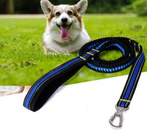 Venta caliente perro mascota alta cuerda de tracción elástica sujetador fuerte correas de nylon de alta densidad perro grande correas especiales para perros al por mayor 2 5100170cm