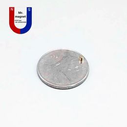 200 stks kleine rijst 2x2 2 * 2mm magneetschijf voor Artcrafts D2x2mm Zeldzame Aarde Magneet D2 * 2mm 2x2mm Neodymium magneten Pernamant Super Power