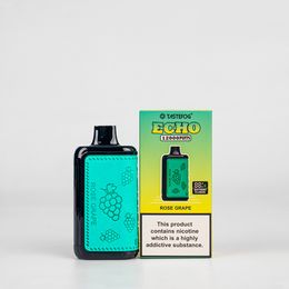 Vente chaude Tastefog Echo 12000 Puffs Vape jetable 2% 16 ml 650mAh avec batterie de flux d'air et affichage de niveau de carburant Puffes 12000 E-cigarette 12flavors en stock
