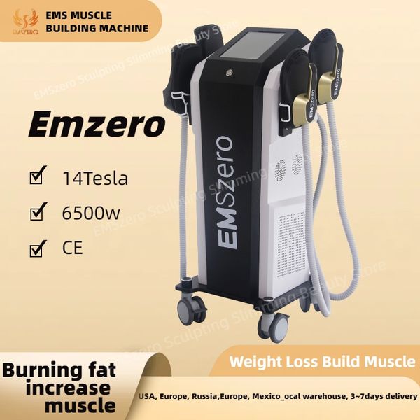 Offres spéciales Emszero professionnel stimulateur musculaire Machine Ems corps minceur dispositif indolore réduction des graisses beauté Spa utilisation