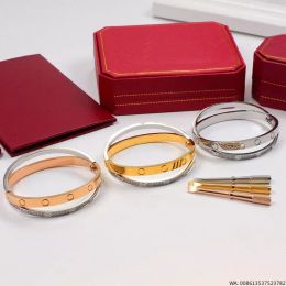 Hot Screw pulsera con dijes de oro, pulseras de bloqueo de color de diseñador, joyería de lujo, brazalete para mujer, aleación de acero de titanio clásico, chapado en oro, colores artesanales, oro, plata, rosa