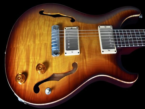 Vente chaude de bonne qualité guitare électrique HOLLOWBODY I FLAME TOP ~ OISEAUX! OUAH! Instruments de musique