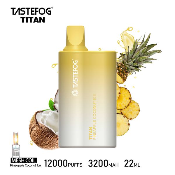 Vente à chaud meilleur prix Tastefog Titan 12000puffs OEM / ODM fabricant en gros boîte de vape jetable