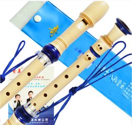Heet verkopen Duitse 8 holes soprano plastic recorder c sleutel klarinet 3 kleur om te kiezen fluit voor beginnersstudentencadeau