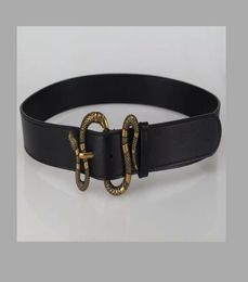 Vente chaude nouveaux hommes femmes serpent blk ceinture en cuir véritable ceintures d'affaires ceinture de couleur pure motif serpent boucle ceinture pour cadeau 5z7q8305304