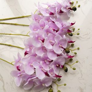 Hot Silk Single Stem Butterfly Orchid 80cm/31,5 