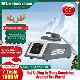 Máquina de adelgazamiento CALIENTE 2023 Mini 1 manija Reemplazo multifuncional DLS-EMS-LIMHIEMT RF Home Fitness EMS Estimulación muscular Quema de grasa Aparato de belleza Salón