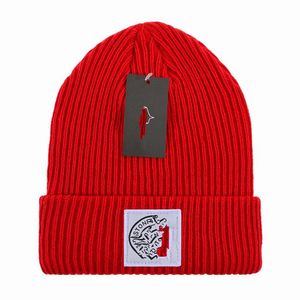 Hot Winter St One and Is Land Beanie Hat Hommes Femmes casquette Ski Chapeaux Snapback Masque Coton Crâne Unisexe Cachemire Patchwork grand cheval De Luxe En Plein Air Bonnets H6-7.28